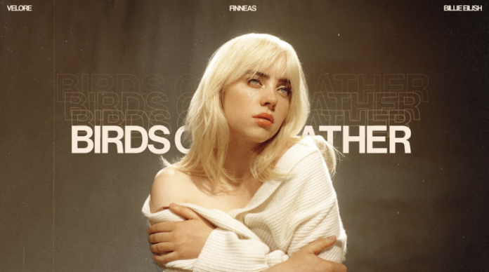 BIRDS OF A FEATHER - Billie Eilish: Análisis de la Canción