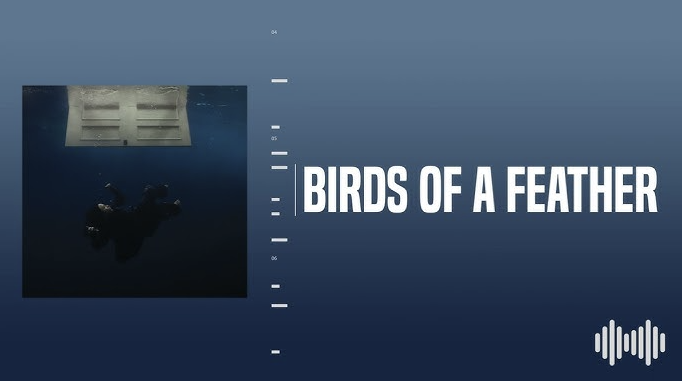 Explorando la evolución temática de Birds ‍of a Feather en la música de Billie Eilish